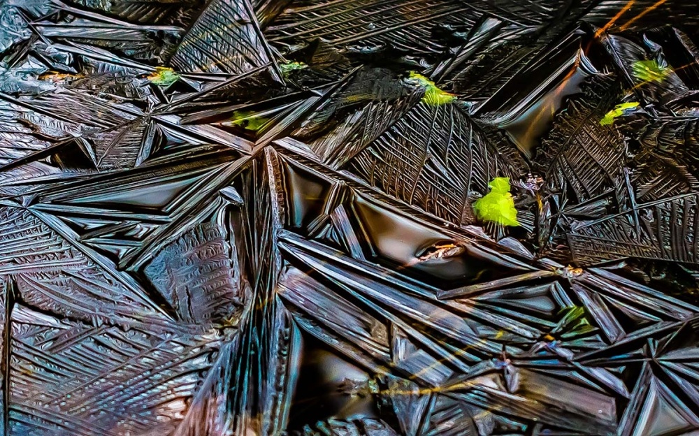 A Colorful Late-Fall Ice Show on a New Hampshire Pond