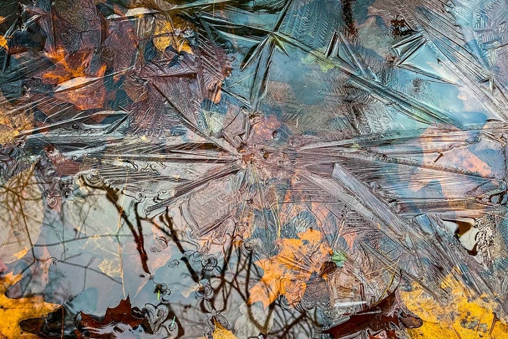 A Colorful Late-Fall Ice Show on a New Hampshire Pond