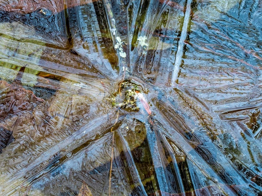 A Colorful Late-Fall Ice Show on a New Hampshire Pond