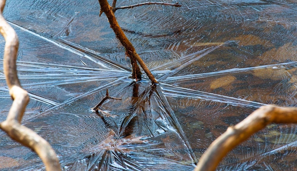 A Colorful Late-Fall Ice Show on a New Hampshire Pond