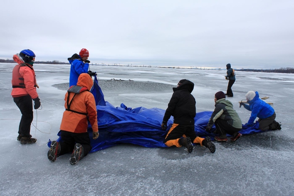 Loon Rescues on Ice