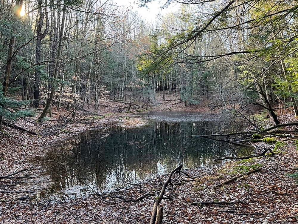 A Colorful Late-Fall Ice Show on a New Hampshire Pond