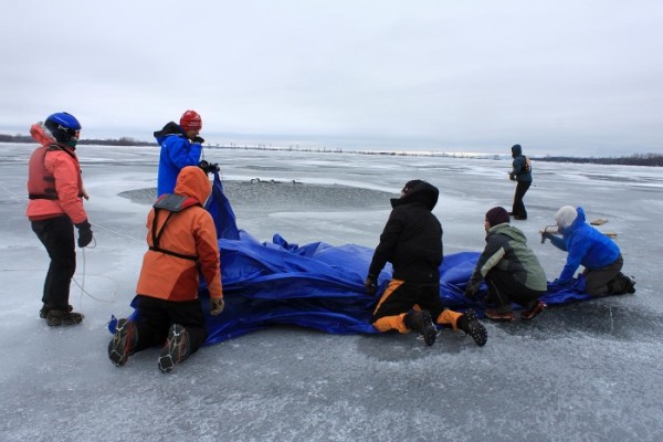 Rescuing Iced-In Loons