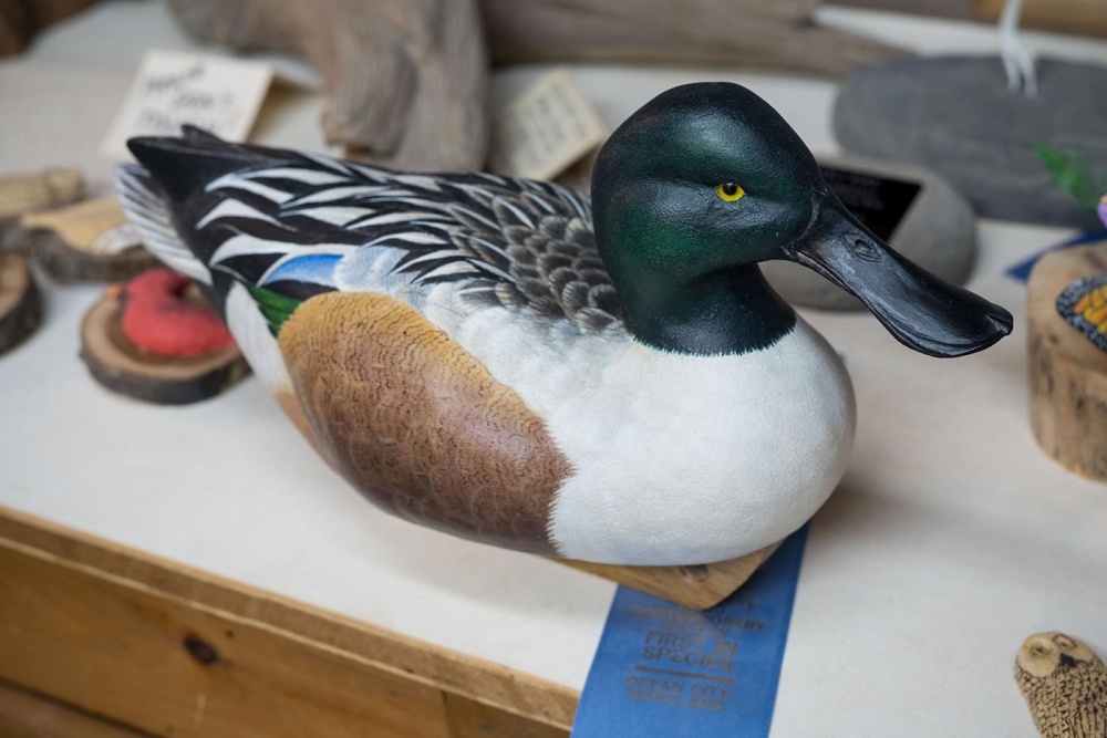 Blue-Ribbon Decoy Carving