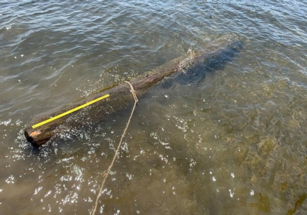 The Snorkeling Luthier of Schroon Lake