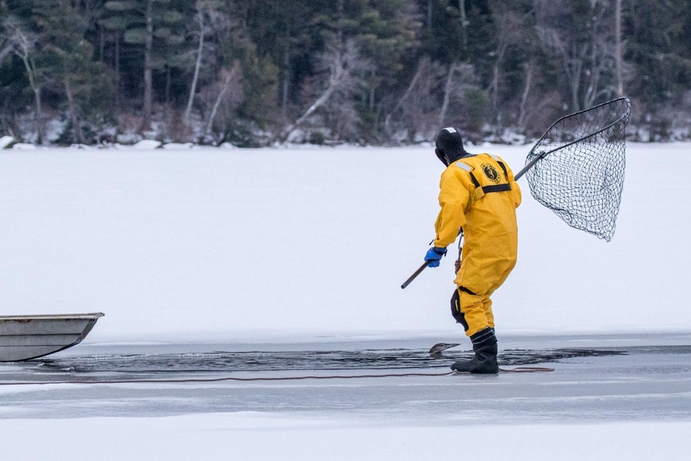 Loon Rescues on Ice