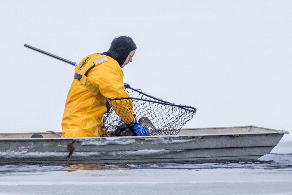 Loon Rescues on Ice