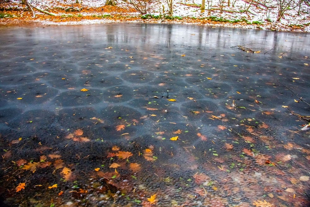 A Colorful Late-Fall Ice Show on a New Hampshire Pond