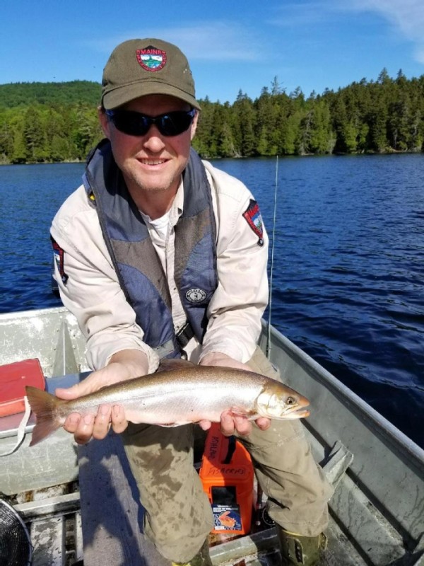 A Fish of Legend: New England's Arctic Char