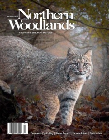 Photo by Tig Tillinghast Autumn magazine cover  by Northern Woodlands