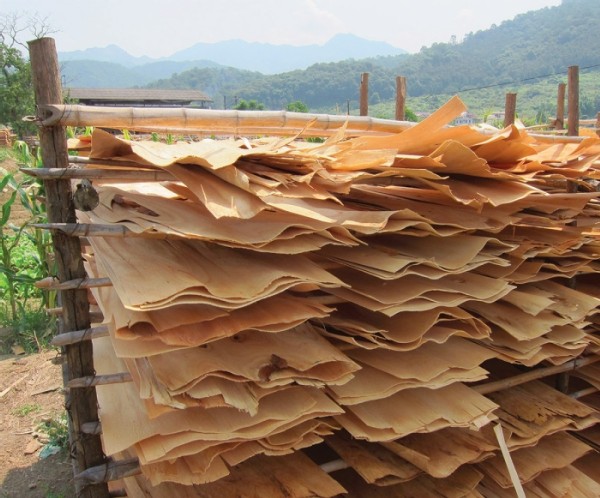 A Bamboo Sea: Travels in Rural China