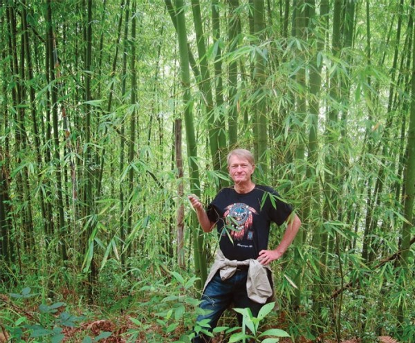 A Bamboo Sea: Travels in Rural China