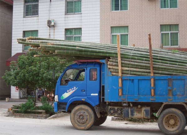 A Bamboo Sea: Travels in Rural China