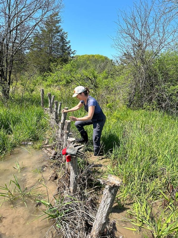 Building Beaver Dam Analogs to Restore Watersheds