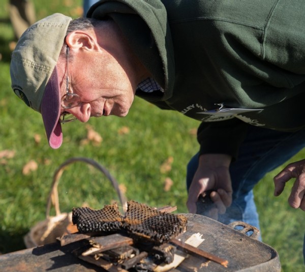 Fired Up for Bee Hunting