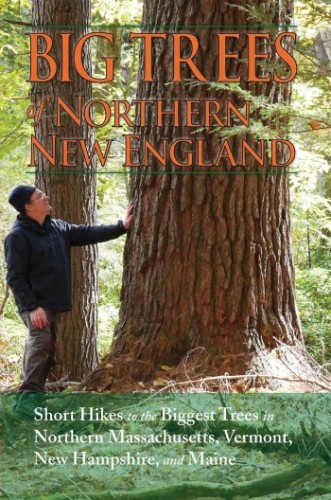 Big Trees of Northern New England with Kevin Martin