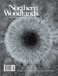 Photo by Erik Hoffner Winter 2019 cover  by Northern Woodlands