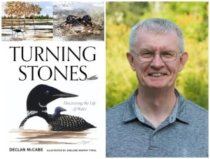 Turning Stones Book Celebration with Declan McCabe thumbnail