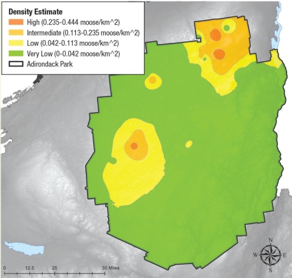 Research on the Adirondack Moose Population