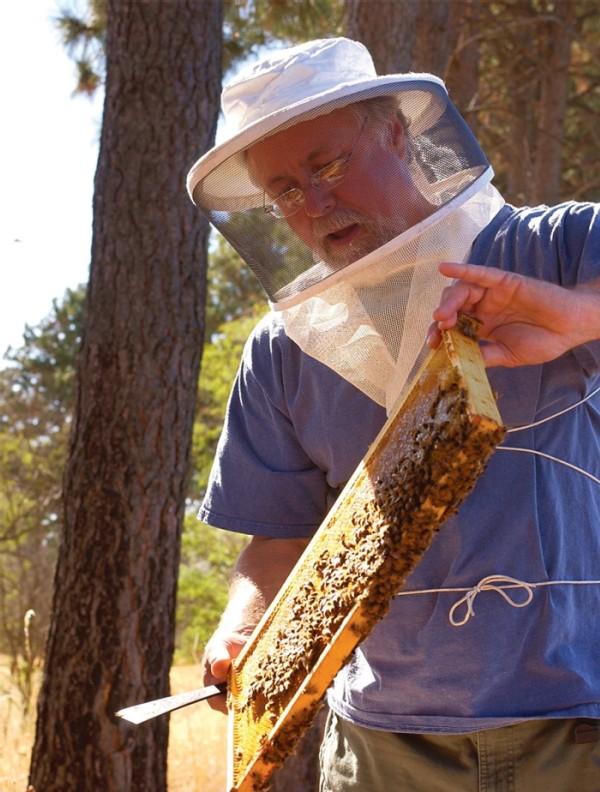 Buzzing About Mushroom Medicine