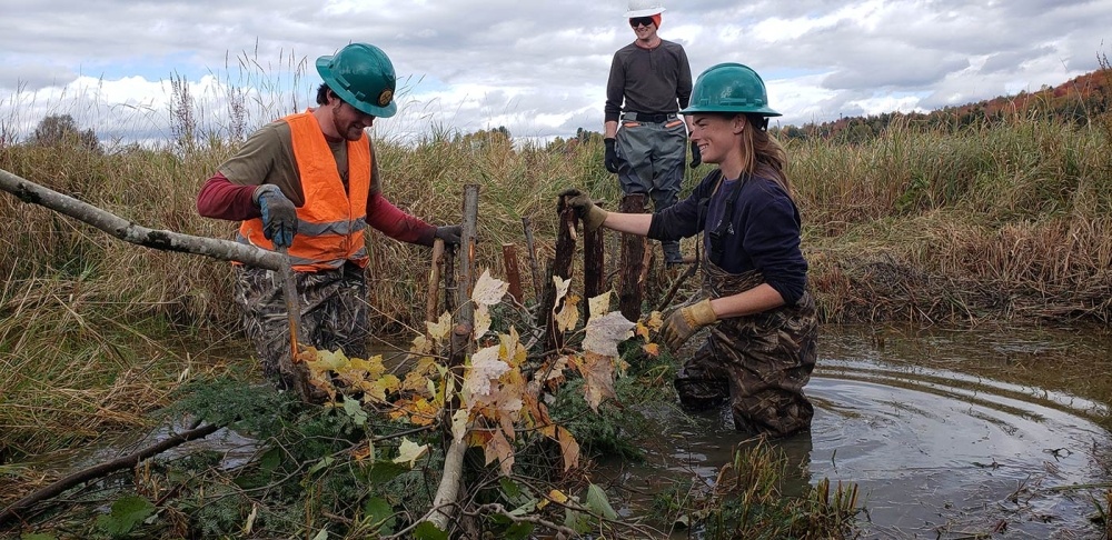 Building Beaver Dam Analogs to Restore Watersheds