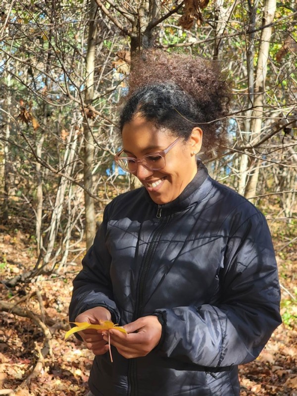 In the City, a Million Trees Take Root