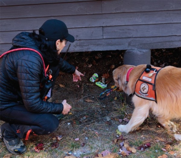 New England K-9 Search and Rescue