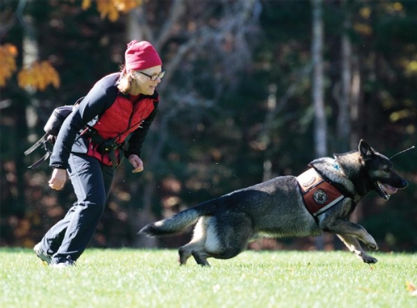 New England K-9 Search and Rescue