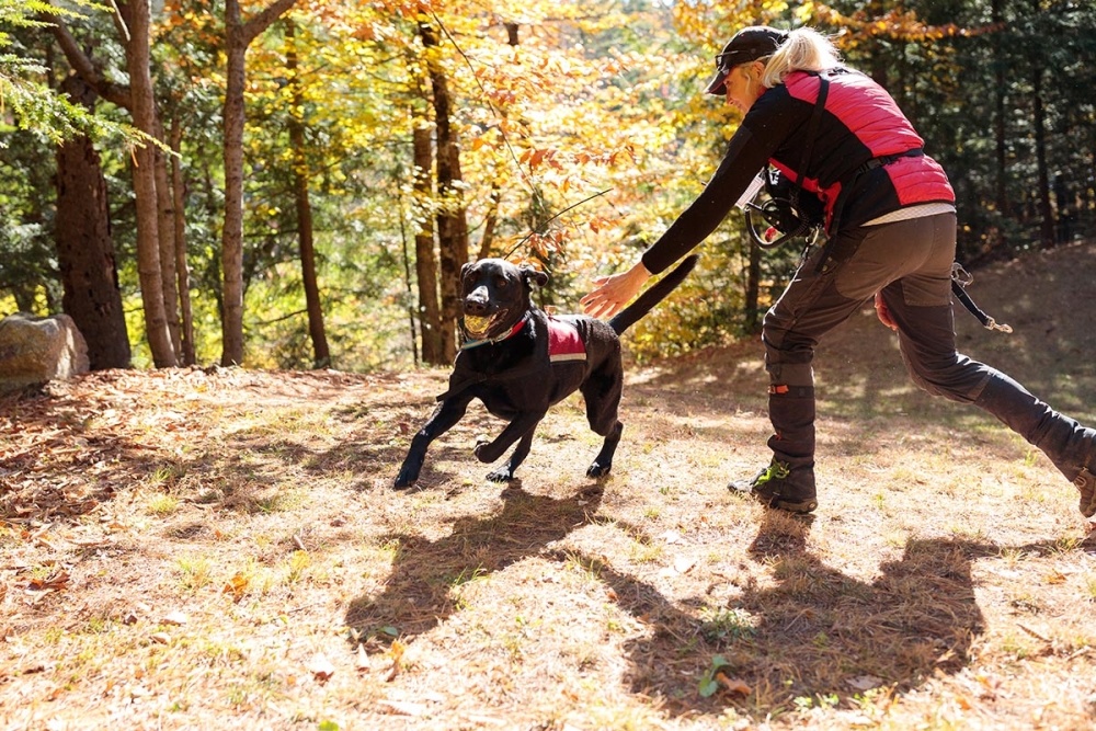 New England K-9 Search and Rescue