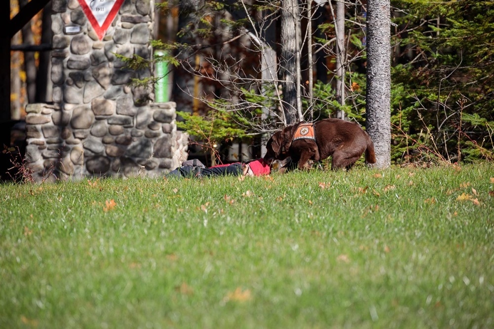 New England K-9 Search and Rescue