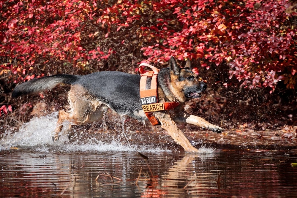 New England K-9 Search and Rescue