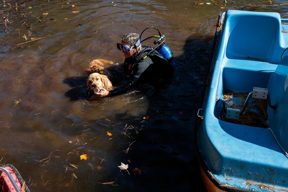 New England K-9 Search and Rescue