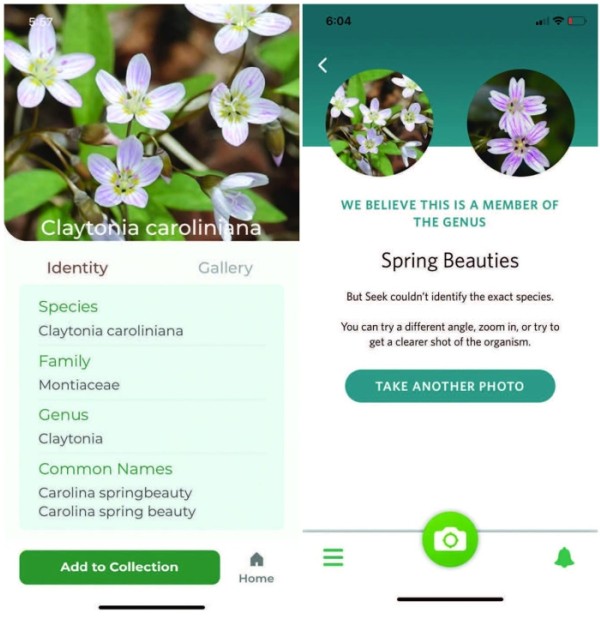 Useful Apps: Plant ID