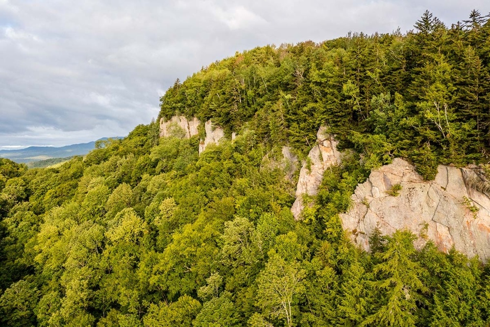 Forever Wild: A Land Trust’s Work to Expand the Northeast’s Wildlands