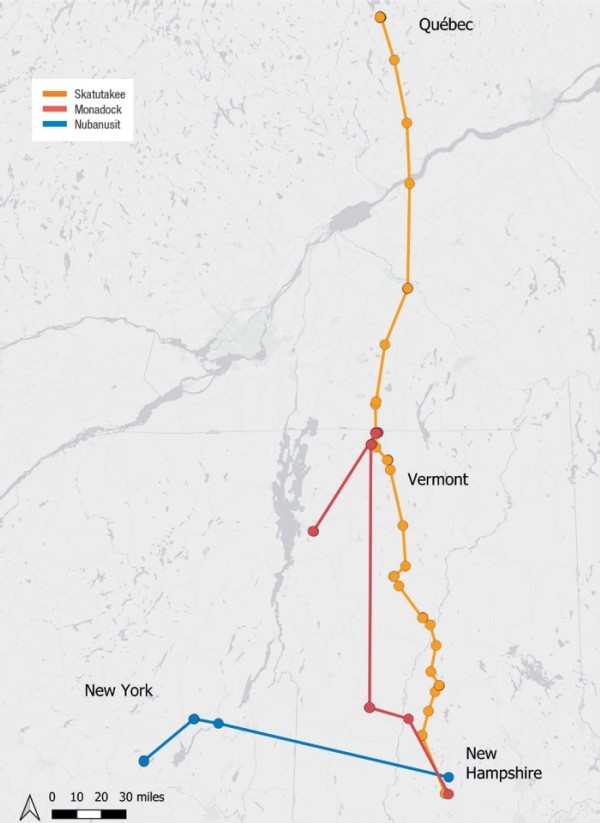 There and Back Again: Tracking Broad-Winged Hawk Migration