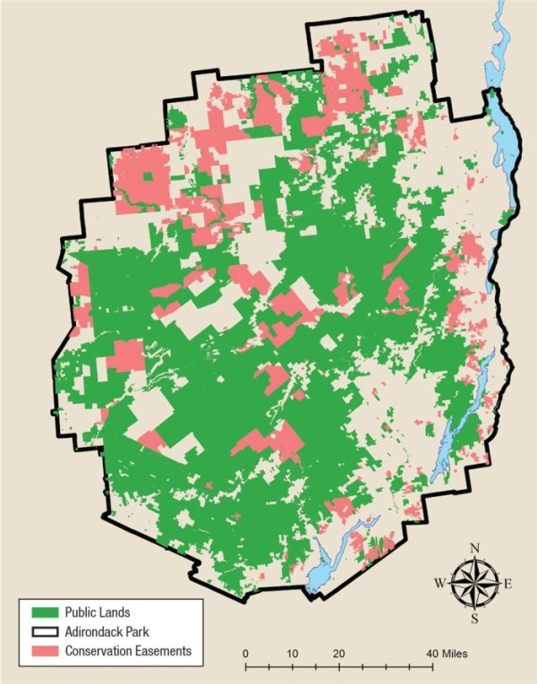 Research on the Adirondack Moose Population