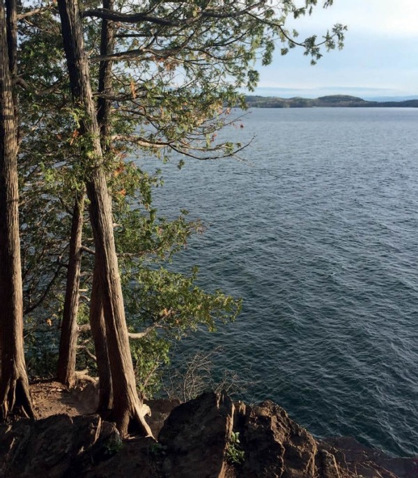 The Importance of Snow to the Bluff Forests of Lake Champlain