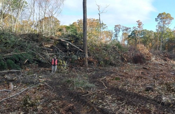 Effects of Deer on Forest Ecosystems