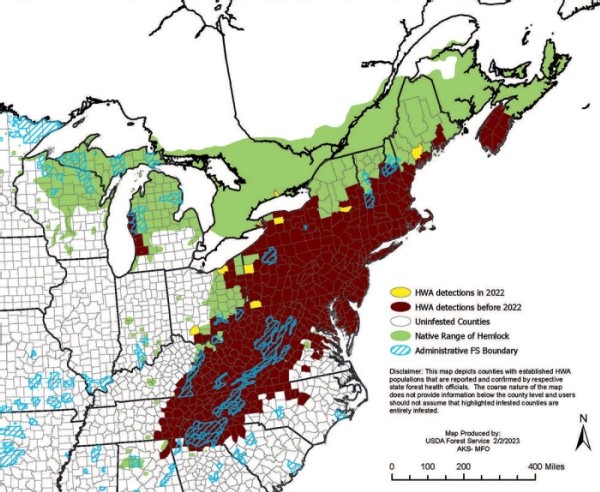 The Battle to Save Hemlock