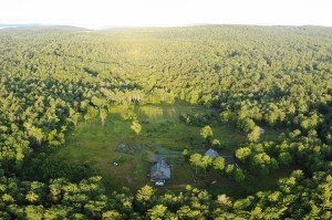 Stewardship on Stone Fence Farm thumbnail