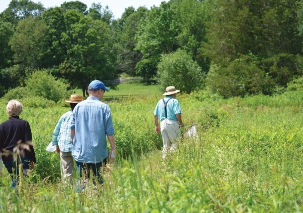 Creating Pathways for Pollinators