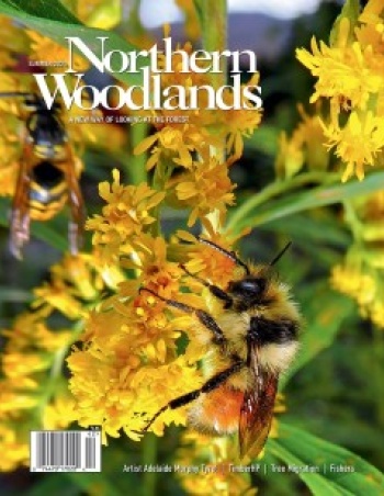 Photo by Susan Morse Summer magazine cover  by Northern Woodlands