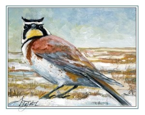 Horned Larks Enliven Sleeping Fields thumbnail