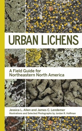 Urban lichens thumbnail