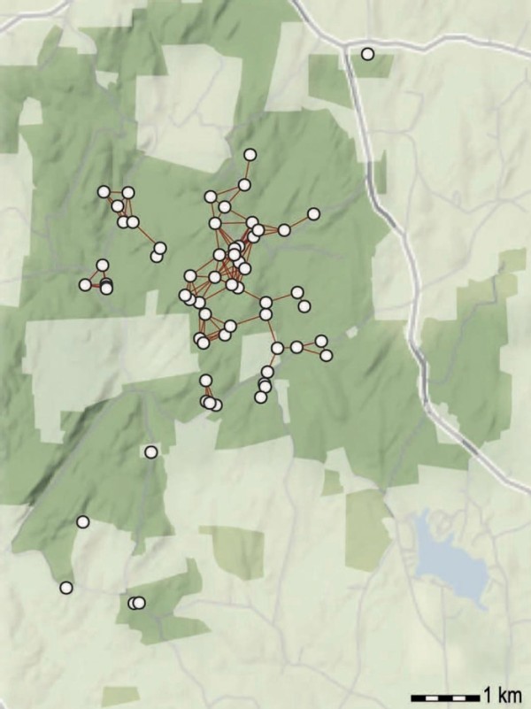 Managing Vernal Pools