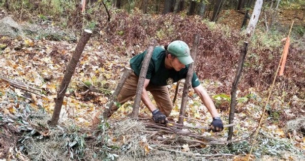 Building Beaver Dam Analogs to Restore Watersheds