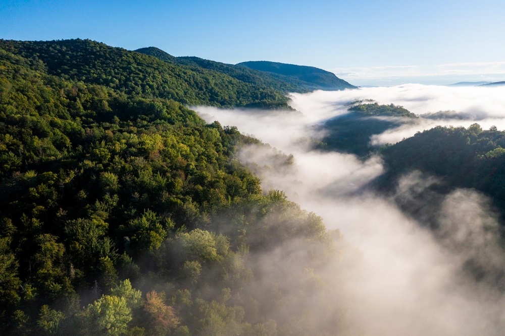 Forever Wild: A Land Trust’s Work to Expand the Northeast’s Wildlands